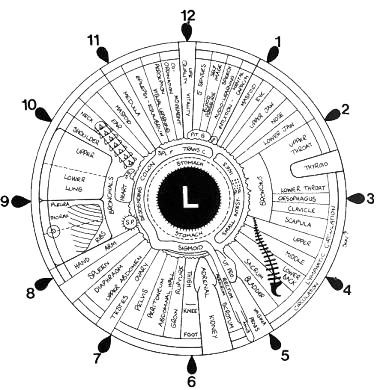 Iridology_iris_eye_chart_left_mirror-removebg-preview