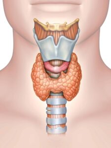 thyroid disorder